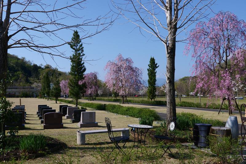P1000247.JPG