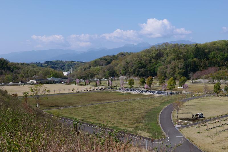 P1000275.JPG