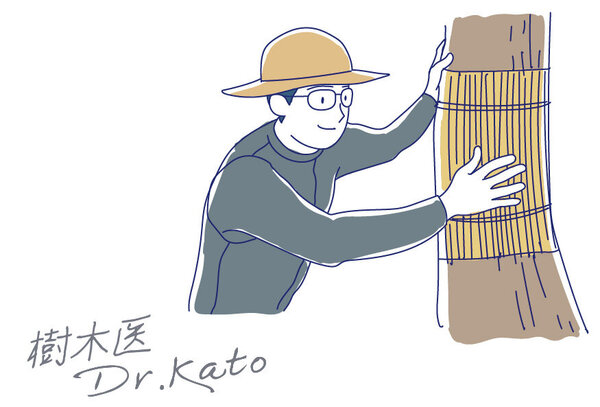 樹木医Dr.Katoの森林散歩