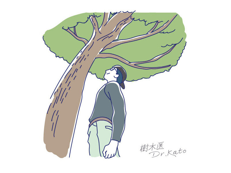 樹木医Dr.Katoの森林散歩